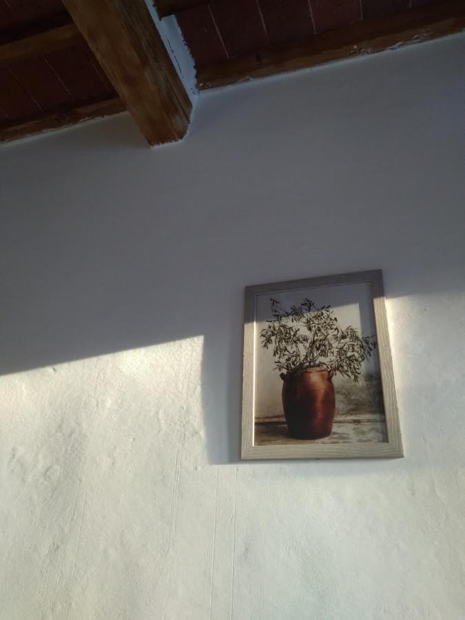 Lotte'S Guesthouse Livorno Exterior foto